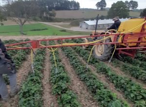 Agrosimex